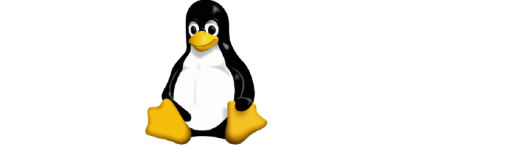 Cover image from A year of the Linux desktop